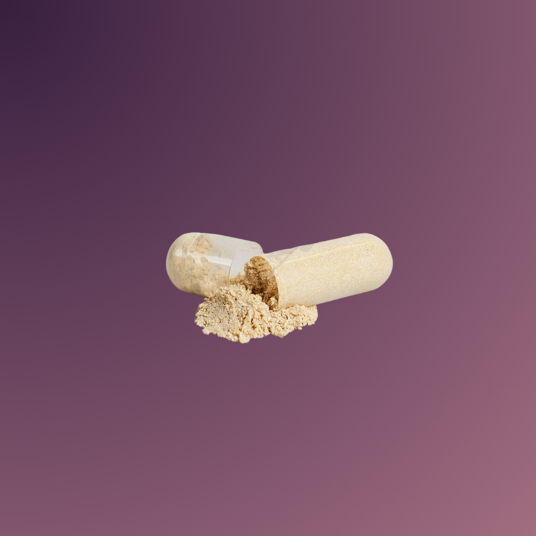 Gynarchy Ashwagandha