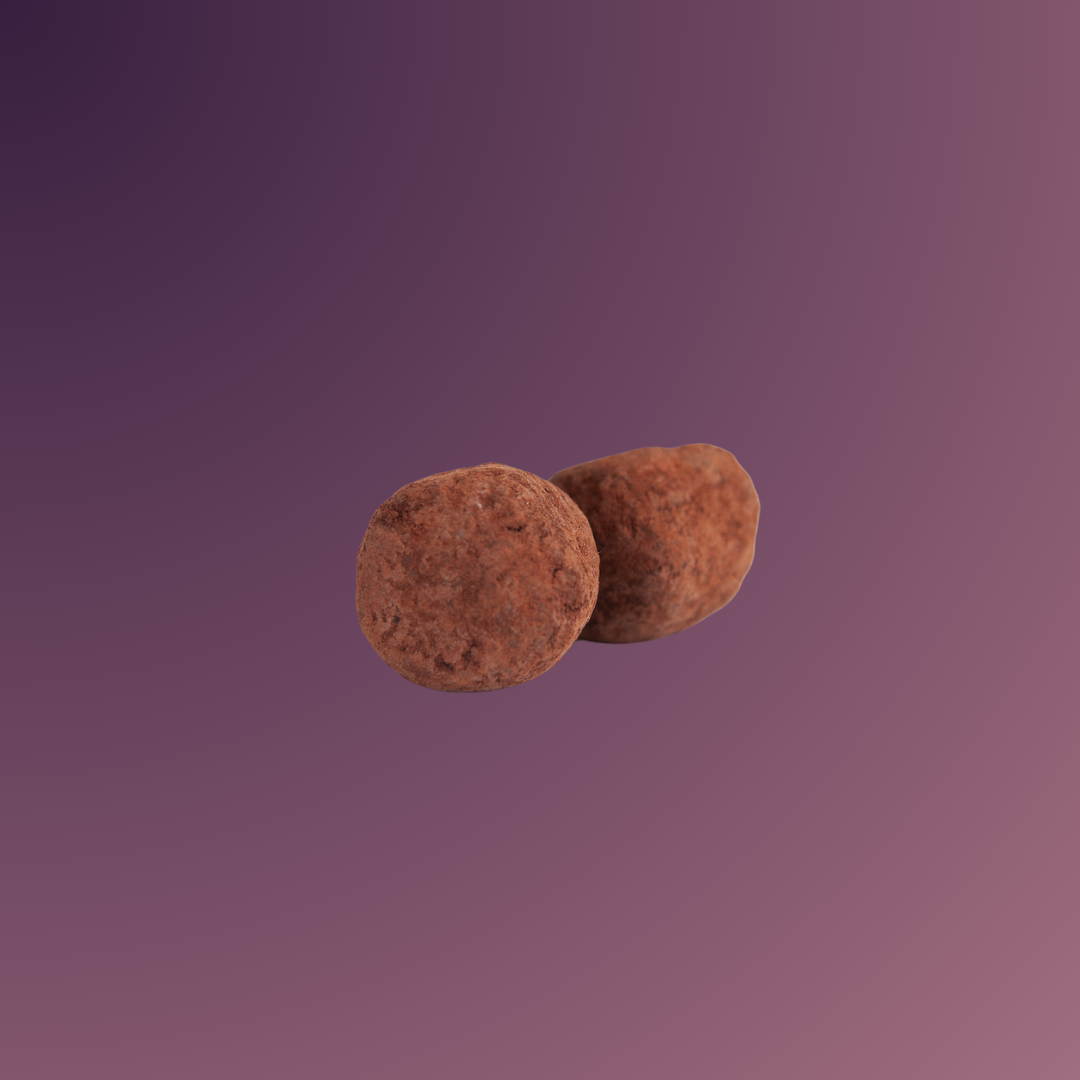 Gynarchy Cocao Chaga Truffles