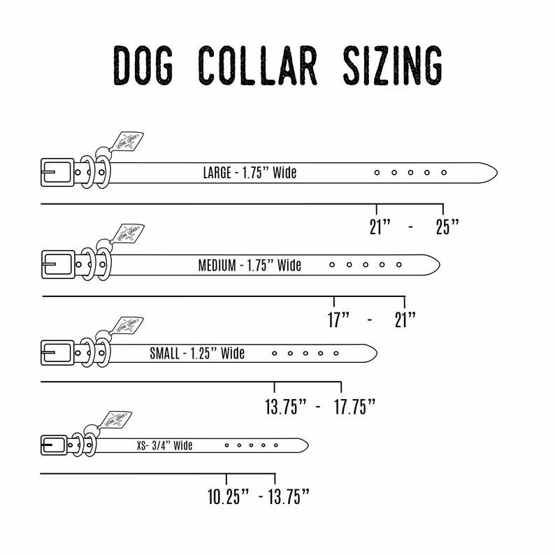 dog collar
